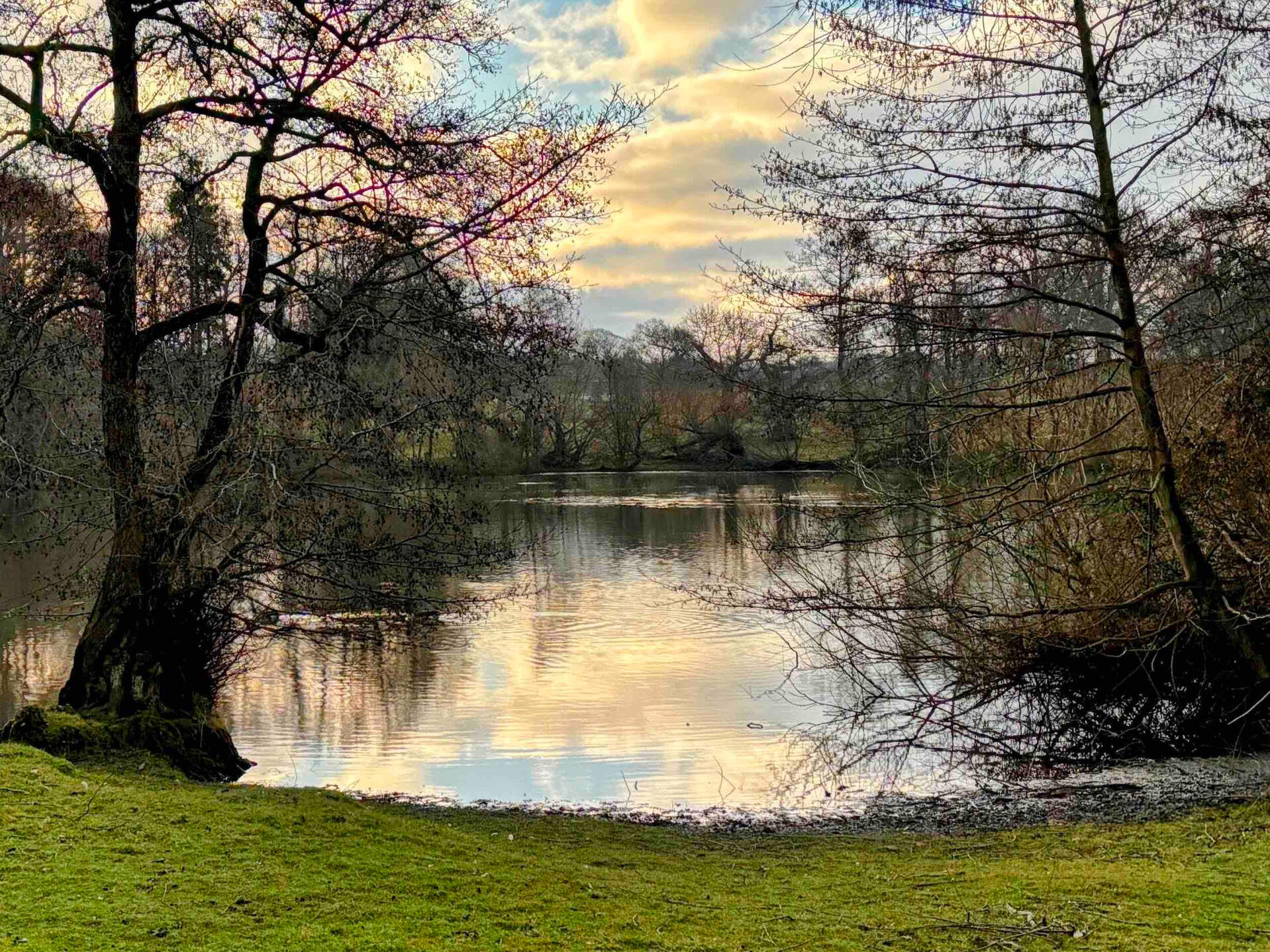 Lake In Montgomery, Wales Body of water near the town on Montgomery / Trefaldwyn, Powys, Wales - another ancestral location for Papa Boko Jonathan.